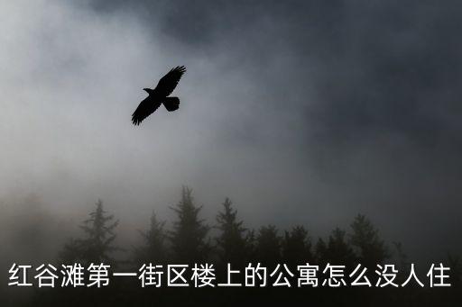 紅谷灘第一街區(qū)樓上的公寓怎么沒(méi)人住