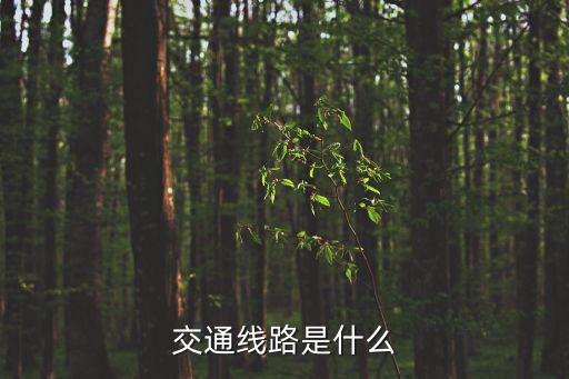 交通線，中國主要的交通線