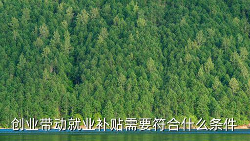 創業帶動就業補貼，國家給自主創業的大學畢業生給予就業補助是否有利