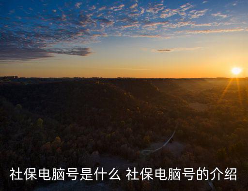 社保電腦號是什么 社保電腦號的介紹