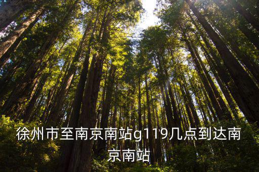 徐州市至南京南站g119幾點到達南京南站
