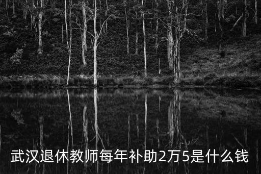 武漢退休教師每年補(bǔ)助2萬(wàn)5是什么錢(qián)