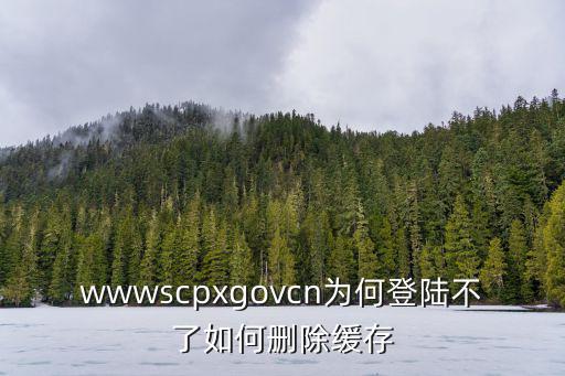 wwwscpxgovcn為何登陸不了如何刪除緩存
