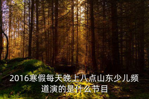2016寒假每天晚上八點山東少兒頻道演的是什么節(jié)目