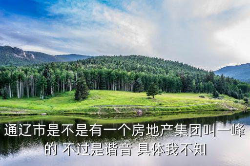 通遼市是不是有一個房地產集團叫一峰的 不過是諧音 具體我不知
