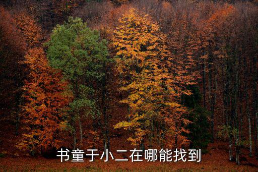 書童于小二在哪能找到