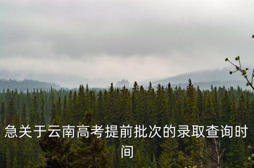 急關于云南高考提前批次的錄取查詢時間