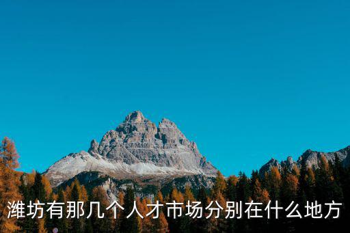 濰坊有那幾個人才市場分別在什么地方