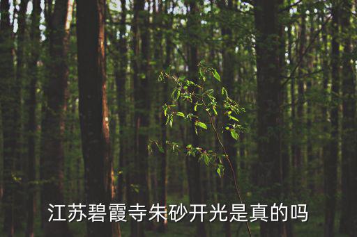 江蘇碧霞寺朱砂開光是真的嗎
