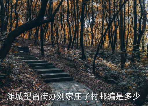 濰城望留街辦劉家莊子村郵編是多少