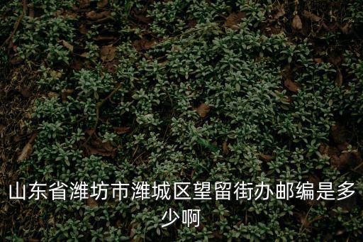 望留街道，山東省濰坊市濰城區(qū)望留街辦郵編是多少啊