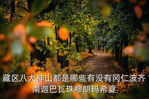 藏區八大神山都是哪些有沒有岡仁波齊南迦巴瓦珠穆朗瑪希夏
