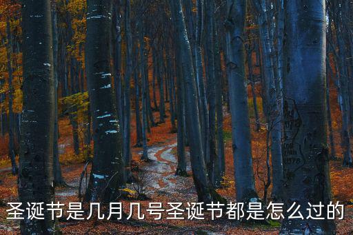 圣誕節是幾月幾號圣誕節都是怎么過的