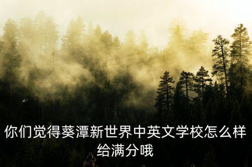 你們覺得葵潭新世界中英文學校怎么樣給滿分哦