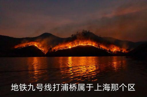地鐵九號(hào)線打浦橋?qū)儆谏虾Ｄ莻€(gè)區(qū)