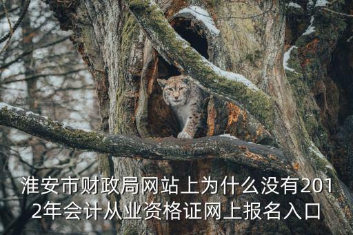淮安市財政局，淮安市財政局網站怎么打不開啊我想報名會計資格考試