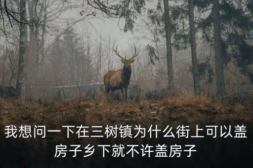 三樹鎮(zhèn)，淮安市淮陰區(qū)三樹鎮(zhèn)有可以過夜的洗浴中心嗎