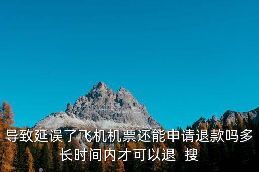 誤機了可以退票嗎，誤了飛機手里的飛機票還能退嗎5000元能退多少