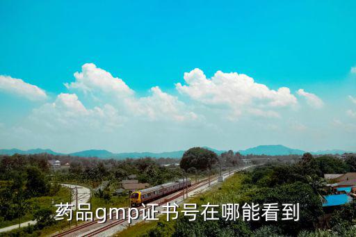 審核查驗中心，藥品gmp證書號在哪能看到