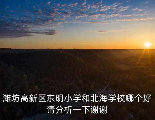 濰坊高新區東明小學和北海學校哪個好請分析一下謝謝