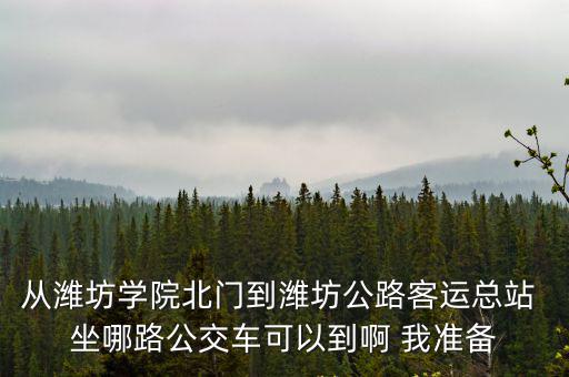 從濰坊學(xué)院北門(mén)到濰坊公路客運(yùn)總站 坐哪路公交車(chē)可以到啊 我準(zhǔn)備