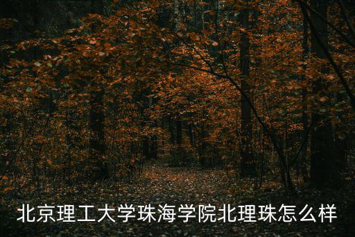 北京理工大學珠海學院北理珠怎么樣