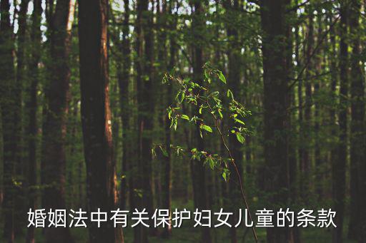 婚姻法中有關(guān)保護(hù)婦女兒童的條款