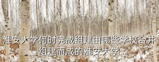 淮安大學何時完成組建由哪些學校合并組建而成的淮安大學