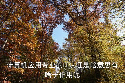 計算機應用專業的IT認證是啥意思有啥子作用呢
