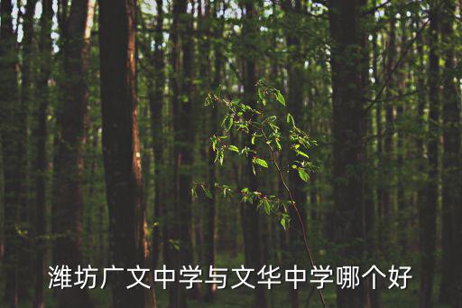 濰坊廣文中學與文華中學哪個好