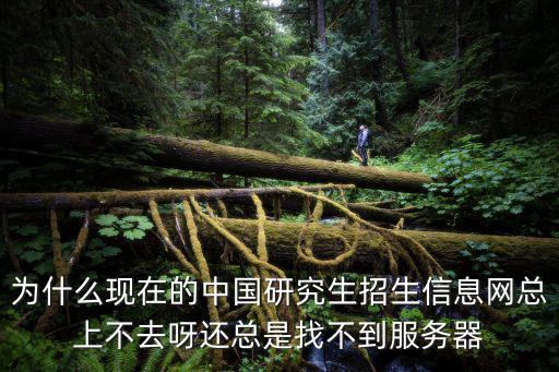中國研究生信息招生網，為什么現在的中國研究生招生信息網總上不去呀還總是找不到服務器