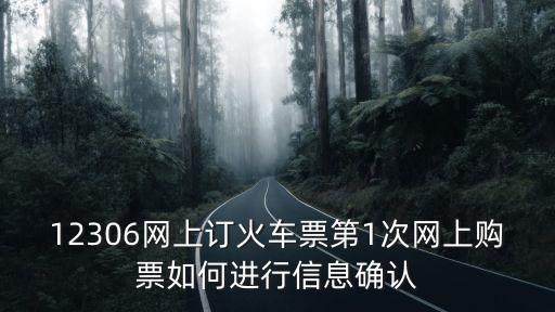 12306網上訂火車票第1次網上購票如何進行信息確認