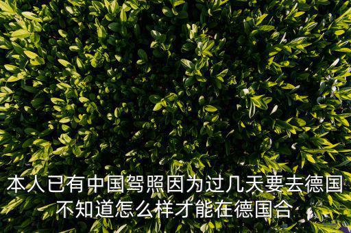 本人已有中國駕照因為過幾天要去德國不知道怎么樣才能在德國合