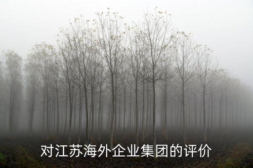 江蘇海外集團，江蘇有哪些大的國際集團