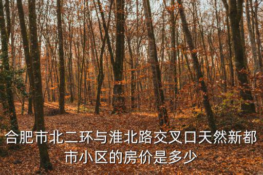合肥市北二環與淮北路交叉口天然新都市小區的房價是多少