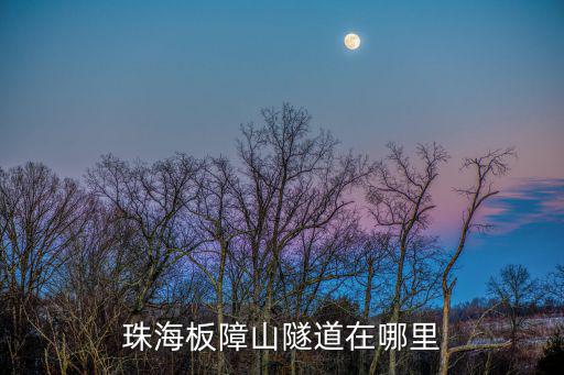 珠海板障山隧道在哪里