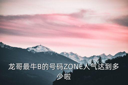 龍哥最牛B的號碼ZONE人氣達到多少啦