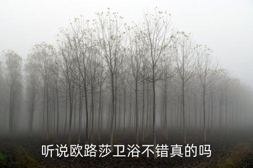 聽說歐路莎衛(wèi)浴不錯(cuò)真的嗎