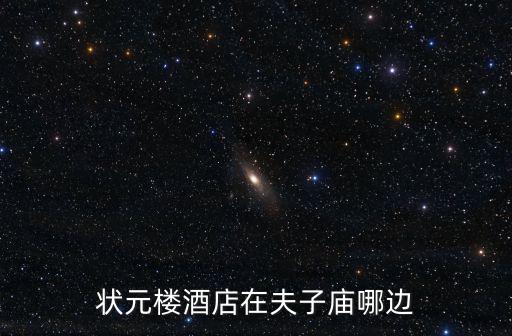 狀元樓酒店在夫子廟哪邊
