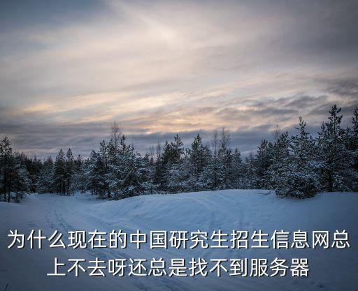 為什么現在的中國研究生招生信息網總上不去呀還總是找不到服務器