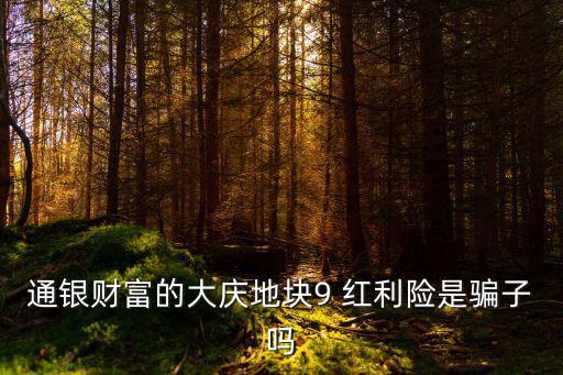 通銀財富的大慶地塊9 紅利險是騙子嗎