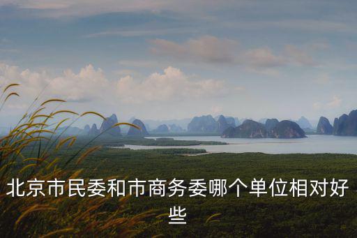 北京市民委和市商務委哪個單位相對好些
