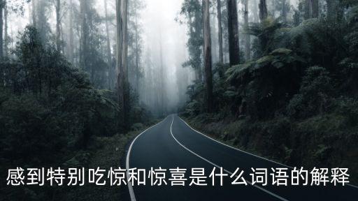 特別驚喜，感到特別吃驚和驚喜是什么詞語的解釋