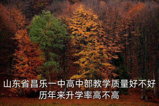 山東省昌樂一中，昌樂一中怎么樣