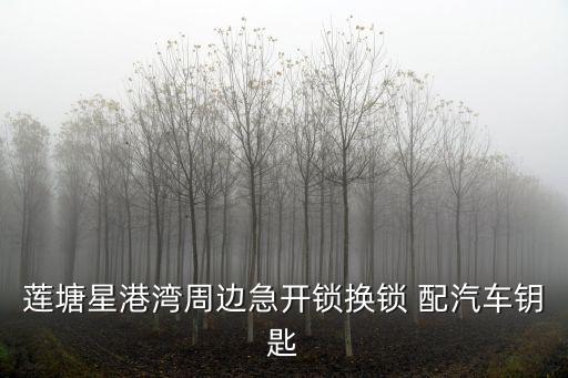 蓮塘星港灣周邊急開鎖換鎖 配汽車鑰匙