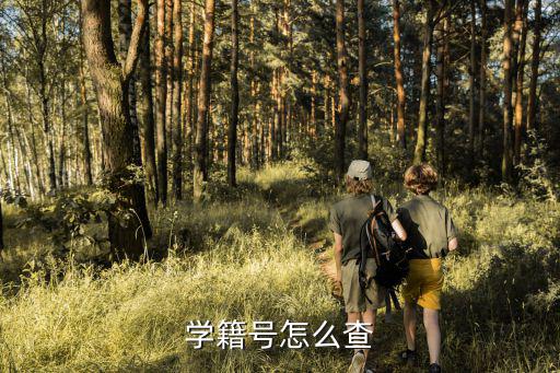 學籍號怎么查