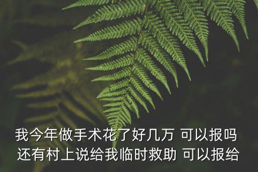 我今年做手術(shù)花了好幾萬 可以報嗎 還有村上說給我臨時救助 可以報給