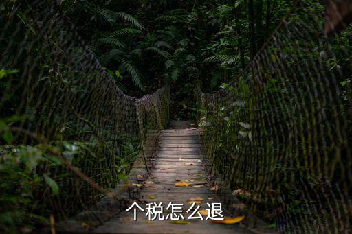 個稅怎么退