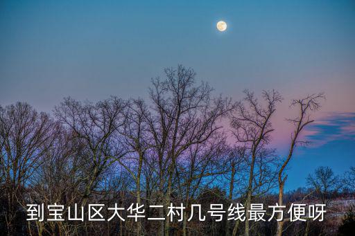 到寶山區大華二村幾號線最方便呀