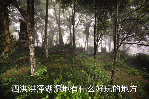 洪澤湖旅游攻略，2014年8月洪澤湖水位怎樣旅游自駕
